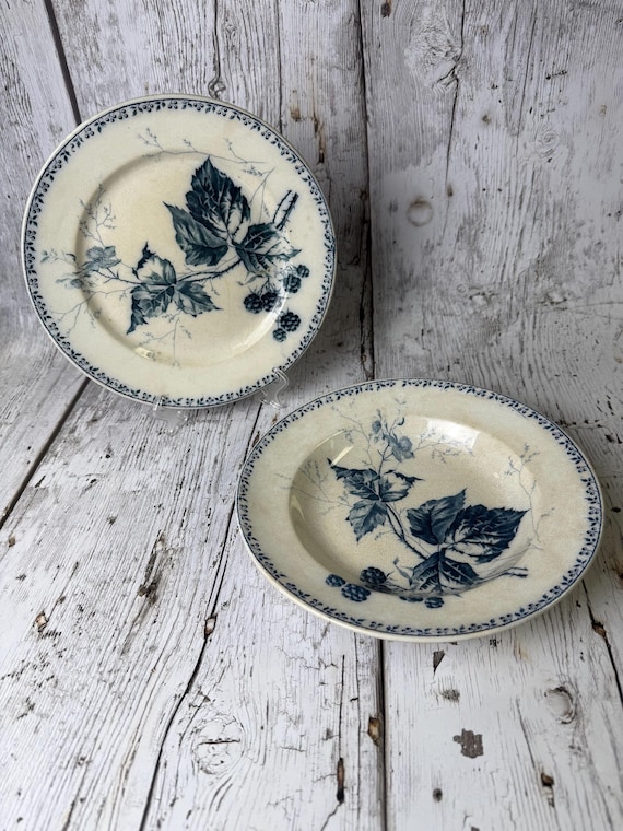 Antique Villeroy & Boch “Rubus” Blackberry Plate and Bowl Set – Late 1800s Mettlach Germany