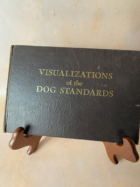 Book: Visualizations of the Dog Standards