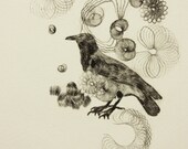 Original print etching