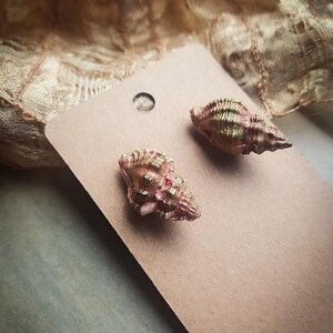 Peut inclure: Une paire de boucles d'oreilles clous en forme de petits coquillages en spirale avec une finition métallique rose et dorée. Les coquillages sont fixés sur un support en carton brun rectangulaire doté d'un trou circulaire en haut.