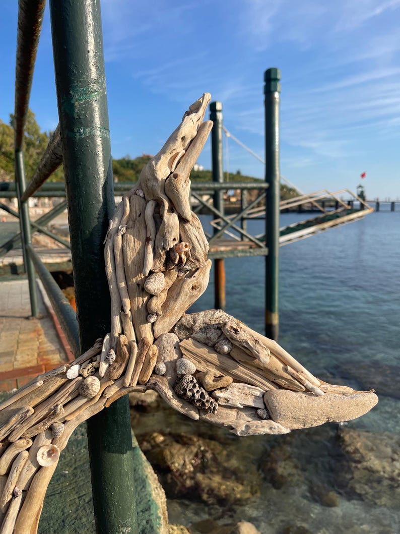 May include: A whale tail sculpture crafted from light-colored driftwood pieces and various small seashells. The textured artwork is assembled with organic materials, featuring a layered composition of weathered wood fragments and white sea shells.