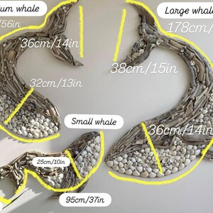 May include: Three whale-shaped wall art pieces crafted from driftwood and seashells. The medium whale measures 142cm/56in by 36cm/14in and 32cm/13in. The large whale is 178cm/70in by 38cm/15in and 36cm/14in. The small whale is 95cm/37in by 25cm/10in and 14cm/6in.