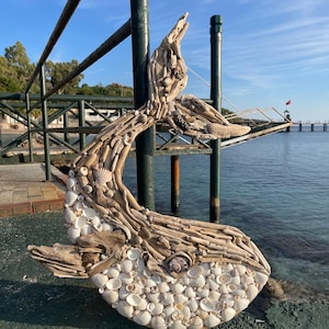 May include: A whale-shaped wall art piece constructed from light brown driftwood and various white seashells. The sculpture features a curved tail pointing upward and a rounded body covered in layered shells, with a single dark shell as an eye.