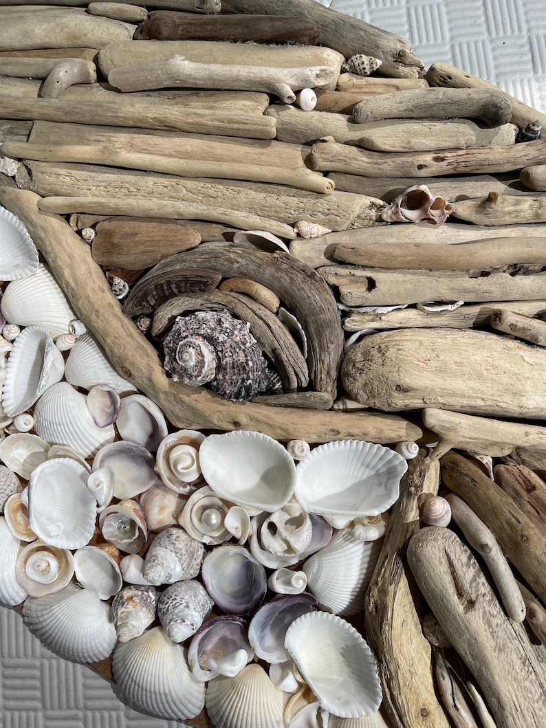 May include: A decorative wall art piece composed of light brown driftwood pieces arranged in layers, accented with a variety of white, cream, and grey seashells. A single dark, textured spiral shell is nestled within a curved driftwood frame.