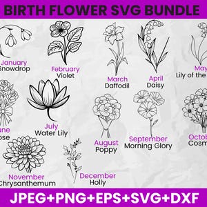 BirthMonth Svg Bundle | Birth Flower Svg| Floral Svg | Flower Svg | Botanical Svg | Rose Svg | Poppy Svg | Birthday Svg | Instant Download