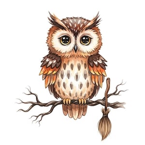 Watercolor Halloween Owl Clipart: Commercial Use Illustrations (PDF Files