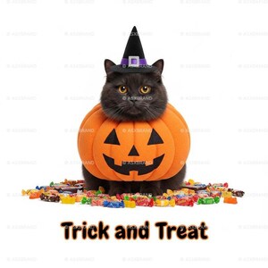 Watercolor Happy Halloween Black Cats Clipart Witch Halloween Cat Paper Crafts Junk Journal Scrapbooking