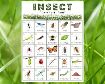 Insect Scavenger Hunt for Kids, Printable Instant Download