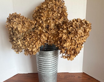 Dried Hydrangea Flowers ~ Very Rustic