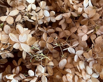 Dried Hydrangea Flowers - Stemless -Rustic