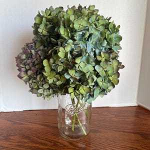 Dried Hydrangea, Dried Hydrangea Flowers, Hydrangea, Dried Hydrangea Bouquet, Dried Hydrangea Decor