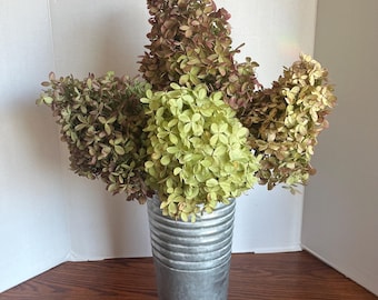 Dried Limelight Hydrangea Flowers