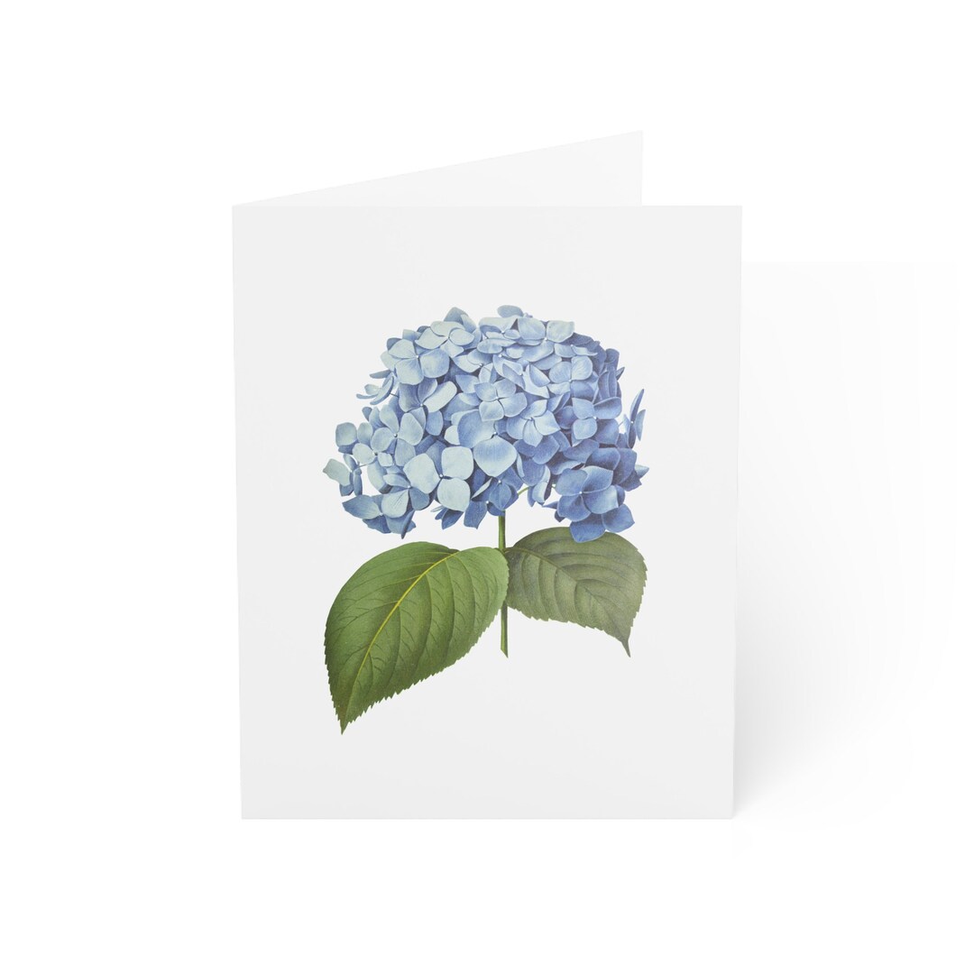 Hydrangea Note Cards, Blue Hydrangea Note Cards, Hydrangea, Blue