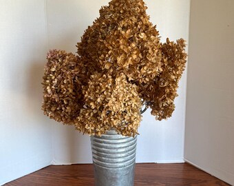 Dried Hydrangea Flowers ~ Very Rustic