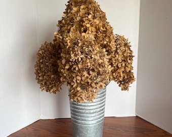 Dried Hydrangea Flowers ~ Very Rustic