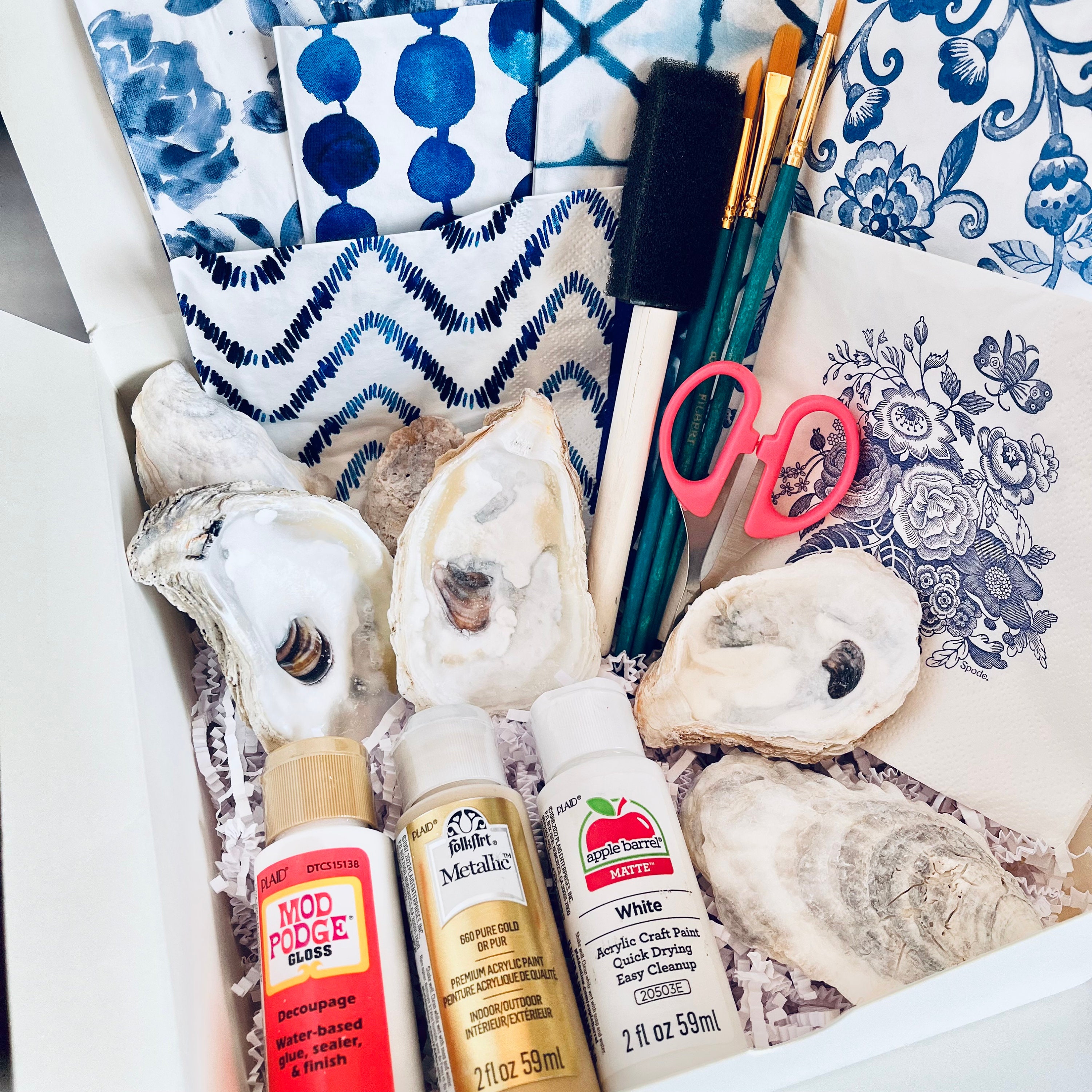 Decoupage Shell Kit, DIY Decoupage Shell Kit, DIY Decoupage Crafting ...