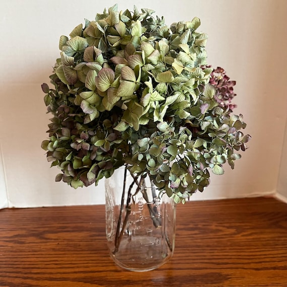 Dried Hydrangea, Dried Hydrangea Flowers, Hydrangea, Dried Hydrangea Bouquet, Dried Hydrangea Decor