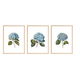 Blue Hydrangea Watercolor Prints, Set of 3 - Printable Instant Download