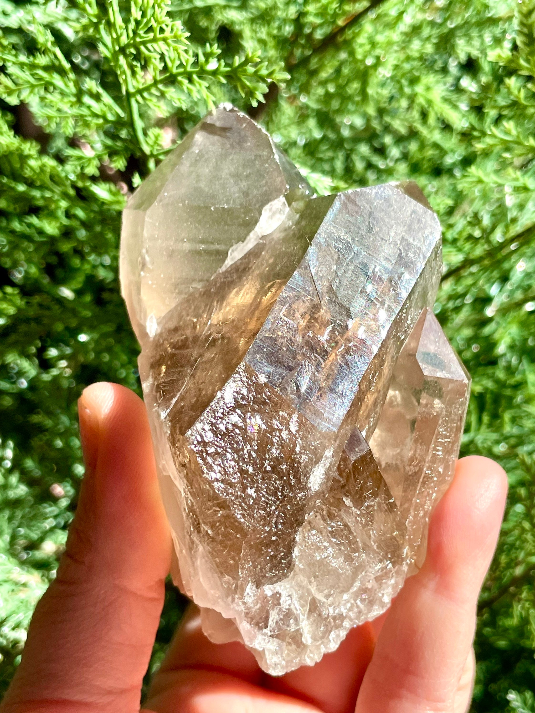 Smoky Quartz Cluster with Rutile – Crystal Love Collective