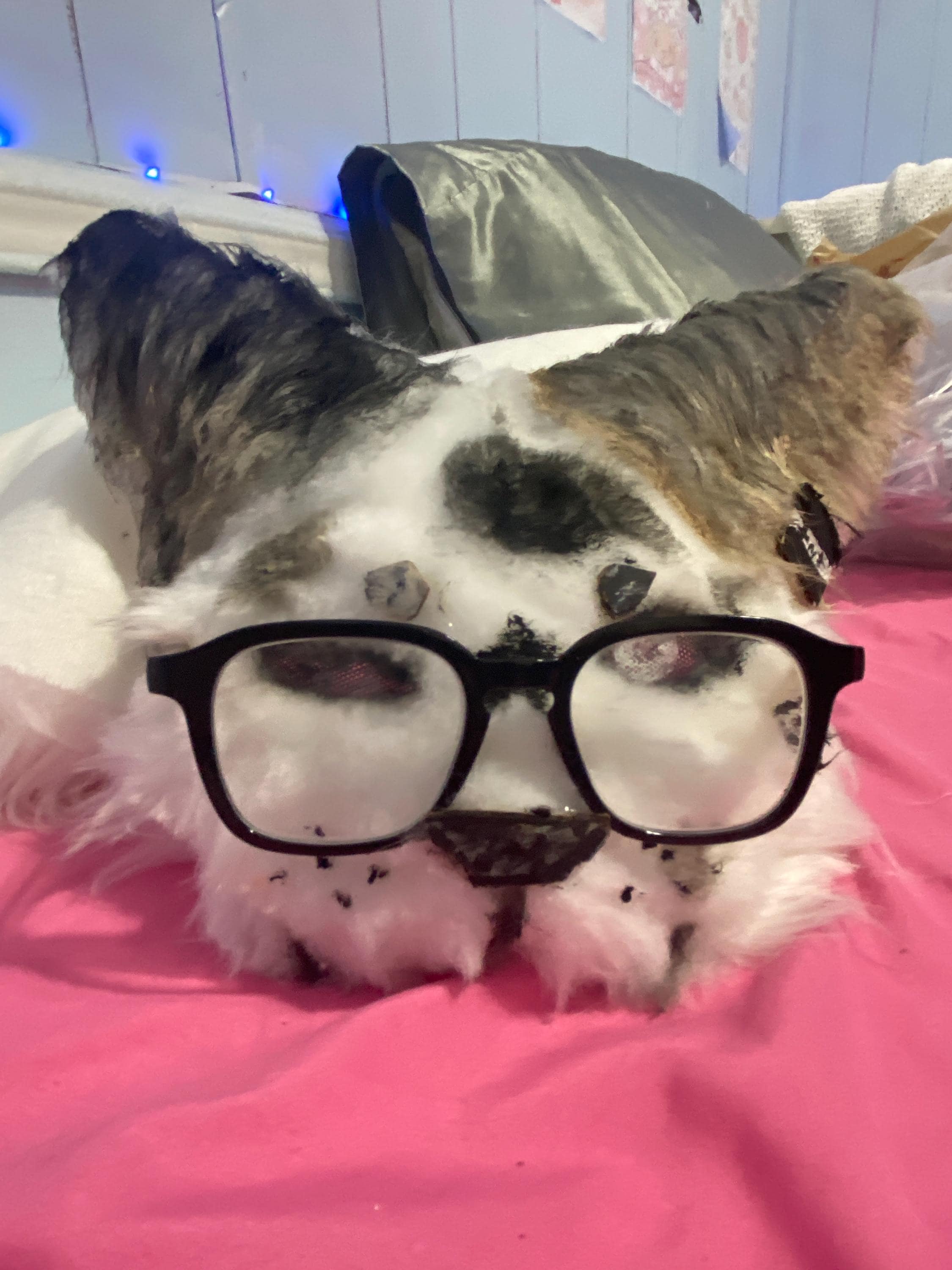 Custom Cat Mask Commission - Etsy