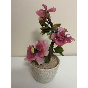 Könnte beinhalten: Eine dekorative Pflanze im Bonsai-Stil mit durchscheinenden rosa Blütenblättern mit gelben Zentren, dunkelgrünen Blättern und einem braunen Stamm. Die Pflanze steht in einem kleinen, runden, cremeweißen Keramiktopf mit dunklem Craquelé-Muster.