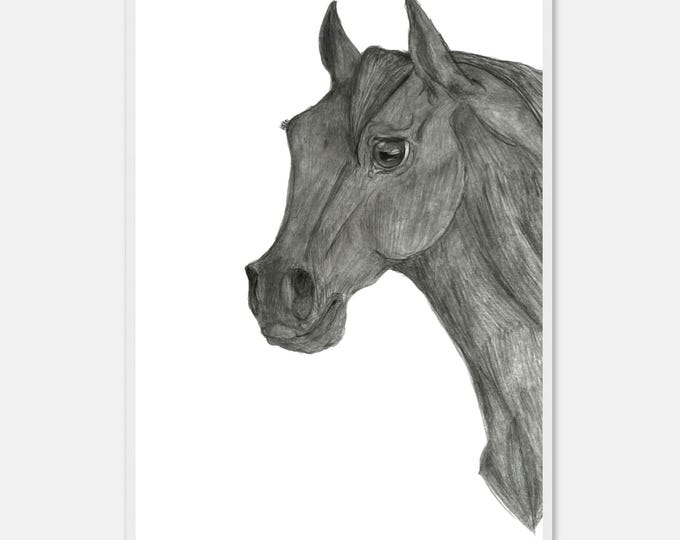 Arabian Horse Black And White Fine Art Framed Poster