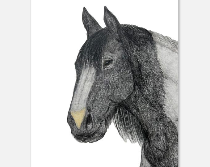 Horse Fine Art Poster