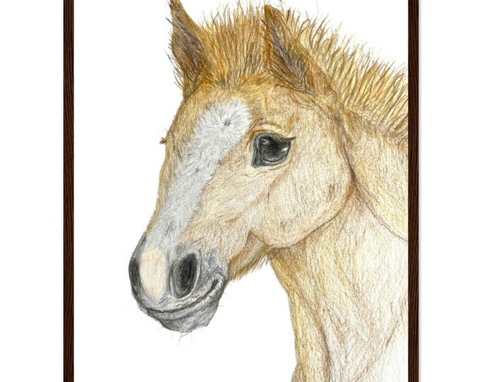 Horse Foal Fine Art Framed Poster