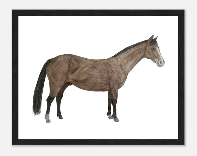Sport Horse Fine Art Framed Poster