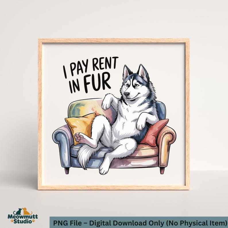 May include: A framed print featuring a cartoon husky dog lounging on a sofa. The dog is black, white, and gray, with a relaxed expression. The text "I PAY RENT IN FUR" is above the dog. The print includes a yellow and red pillow.
