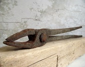 Antique Blacksmith Tongs , Primitive Hand Forged Iron Duck Bill Tongs , Blacksmithing Tool , Industrial Decor