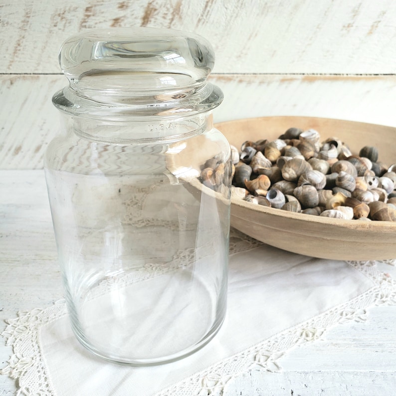 Apothecary Jar filled with Sea Shells , Decorative Jar with Shells , Vintage Beach House Coastal Decor image 2
