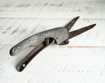 Garden Clippers ,  Old Garden Trimming Shears , Vintage Gardenalia , Garden Shed Photo Prop