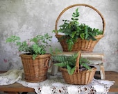 Rustic Willow Basket Collection , Three Handwoven Willow Storage Baskets , Vintage Farmhouse Basket Decor , Natural Decor