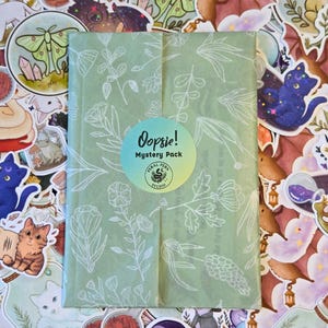 Puede incluir: Un paquete misterioso verde claro envuelto en papel con estampado floral, con una pegatina circular que dice "Oopsie! Mystery Pack" y "Feral Fern Studio". El paquete est&aacute; rodeado de varias pegatinas coloridas.