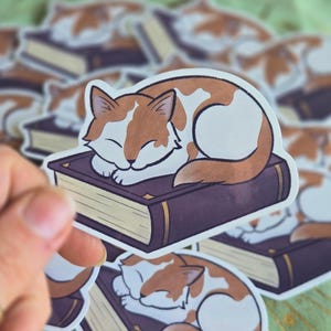 Sleeping Cat on a Book | Cozy Bookish Vinyl Sticker | Cute Cat Lover Gift | Kawaii Cat Stickers | Orange Cat Stickers | Sleepy Kitty Sticker