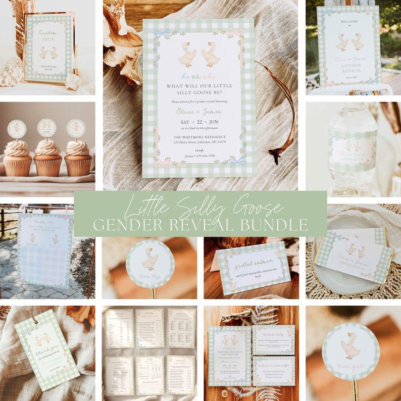 Goose Gender Reveal Party Bundle, Silly Goose Theme Shower Editable Digital Pack, Gingham Goose Gender Reveal Decor Set Canva Template, GS6 image 1