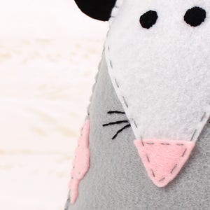 Close up of rat sewing pattern