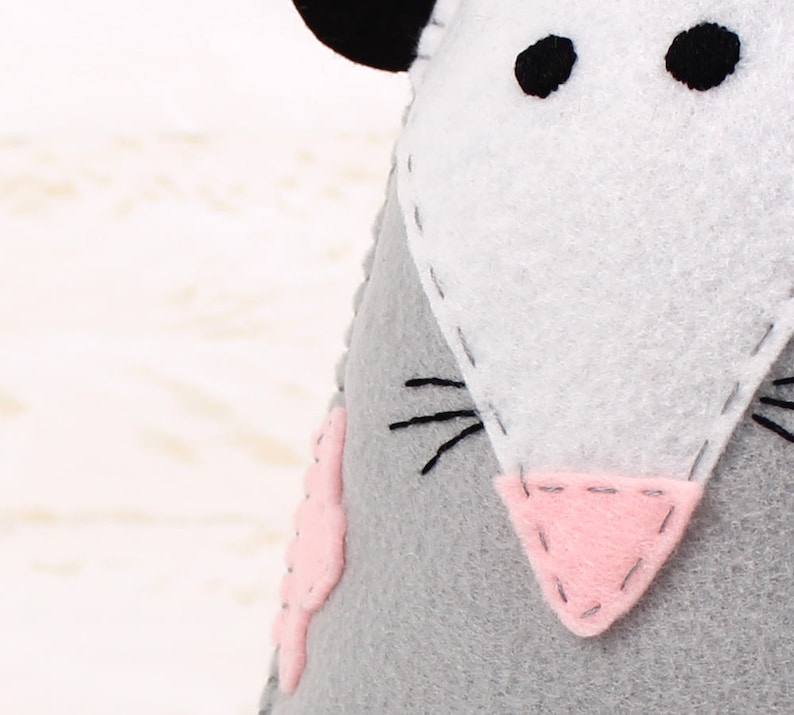 Close up of rat sewing pattern