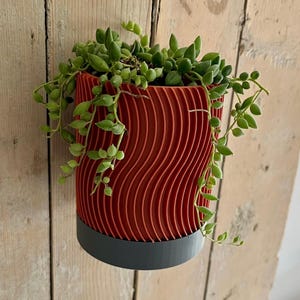 Könnte beinhalten: Ein roter, wellenförmiger Pflanzentopf mit dunkelgrauem Sockel, gefüllt mit einer grünen Hängepflanze. Der Topf ist auf einer hellen Holzoberfläche befestigt, was einen Kontrast erzeugt. Das Design ist modern und auffällig.