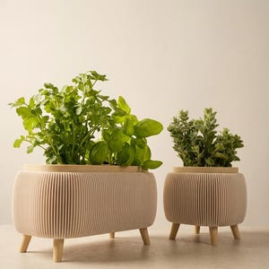 Può includere: Due fioriere beige a coste con gambe in legno, ciascuna con erbe verdi. La fioriera più grande contiene coriandolo e basilico, mentre quella più piccola ha l'origano. Le fioriere hanno un design moderno.