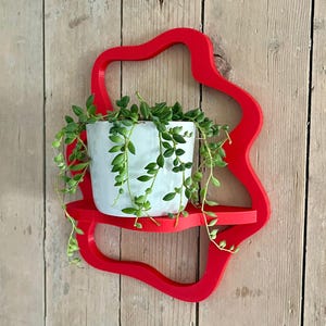 May include: A vibrant red, wall-mounted shelf with a unique, flowing design. A white ceramic pot filled with trailing green plants sits on the shelf. The shelf is mounted on a wooden plank wall, creating a striking contrast.