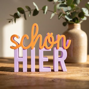 Könnte beinhalten: Ein dekoratives Holzschild mit den deutschen Wörtern "schön HIER" in Orange und Lila. Das Wort "schön" ist in Schreibschrift, und "HIER" ist in Blockbuchstaben. Im Hintergrund eine Vase mit Grün.