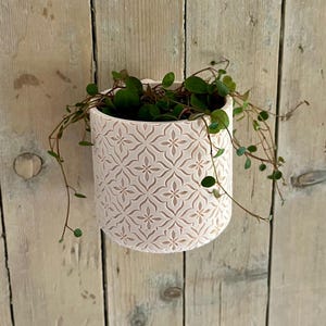 Könnte beinhalten: Ein hellrosa, zylindrischer Blumentopf mit einem sich wiederholenden Blumenmuster. Er enthält grüne Blätterpflanzen mit herabhängenden Ranken. Der Topf ist auf einer hellen Holzoberfläche montiert.