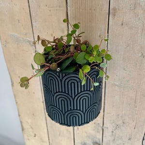 Flowerpot with wall mount & removable bowl – smart planter for houseplants