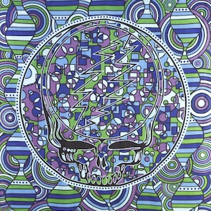 May include: A psychedelic art print featuring a stylized skull with a lightning bolt design, set within a circular frame. The background is a vibrant pattern of blue, green, and purple shapes, creating a visually dynamic composition.