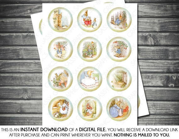 Instant Download Cupcake Toppers - Peter Rabbit Theme, Green, Blue, Vintage, Printable, Digital Il_570xn