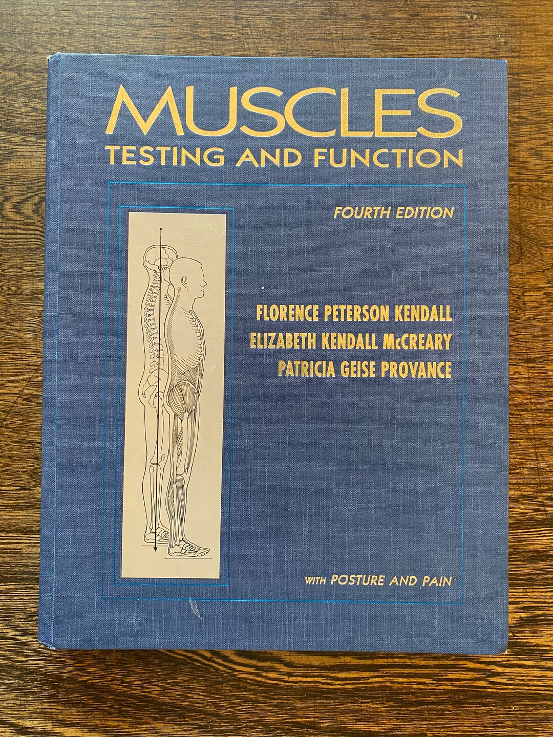 Muscles Testing and Function Fourth Edition 1993 - Etsy
