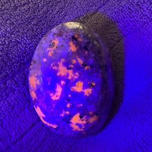 Yooperlite Palm Stone