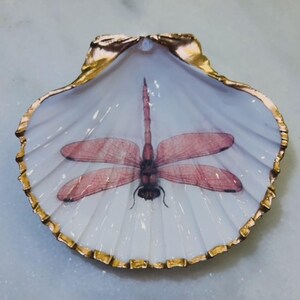 May include: A decorative seashell with a gold-painted rim and a painted dragonfly design. The dragonfly is pink and centered on the white interior of the shell. The shell is on a light blue surface.